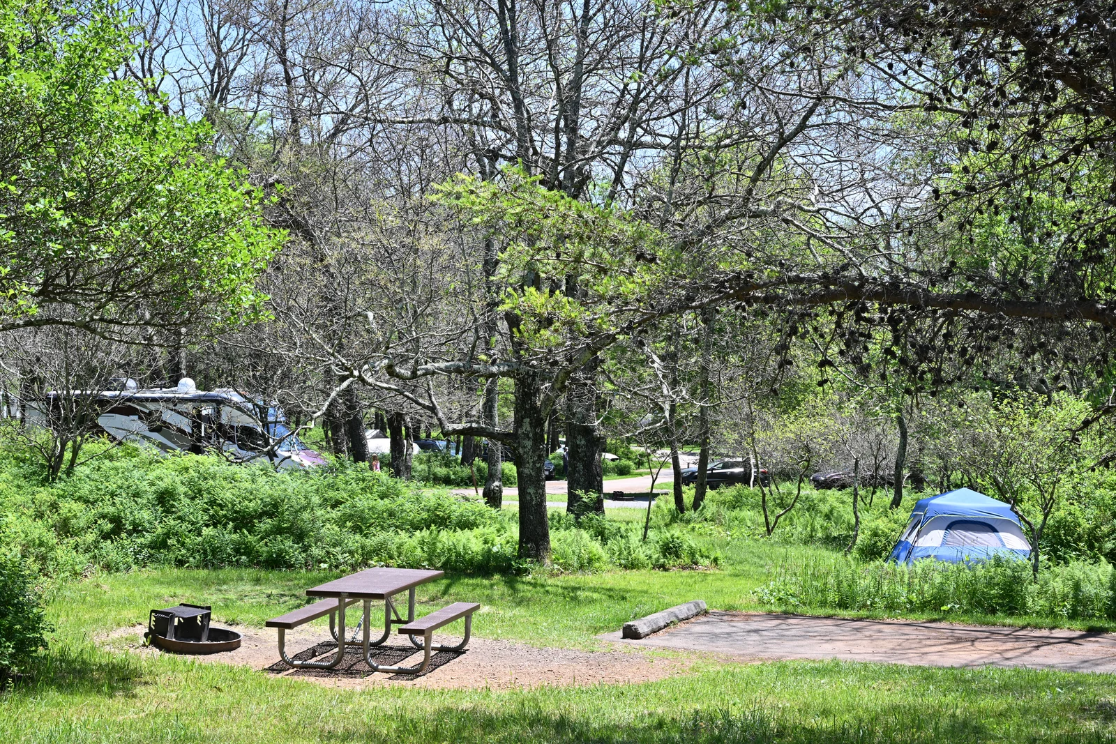 Ingerichte kampeerplaats bij Big Meadows met parkeerplek, tafel en gras voor een tent