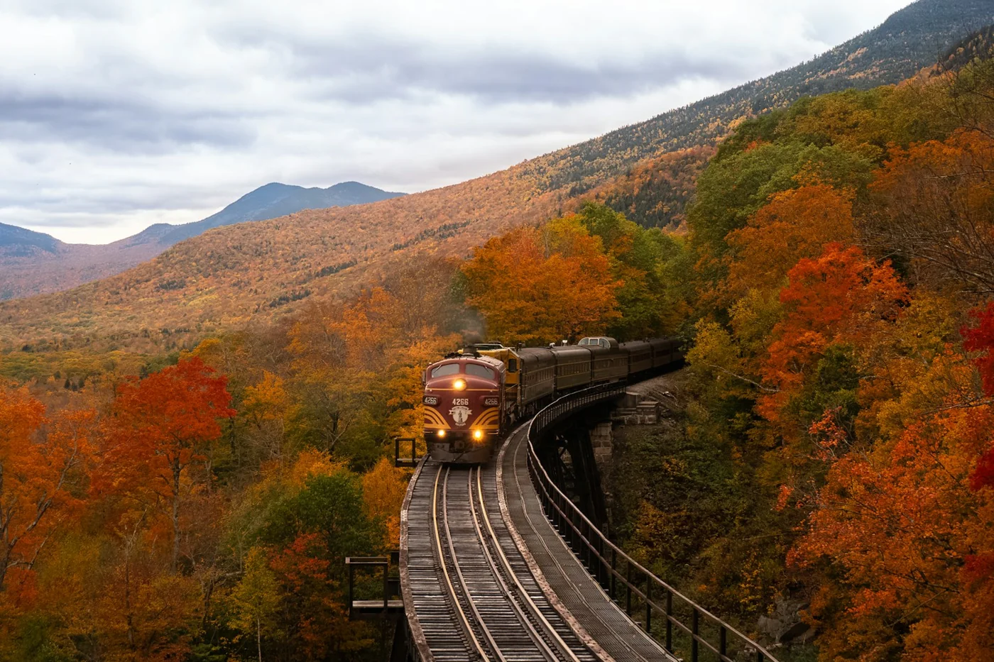 A train travels through autumn woodland